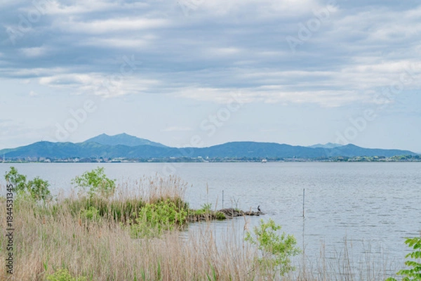 Obraz 茨城　阿見町から望む霞ヶ浦と筑波山