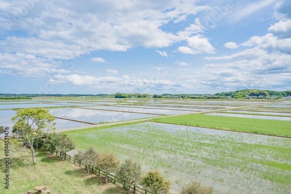 Obraz 茨城　美浦村の田園風景（大須賀津農村公園から）
