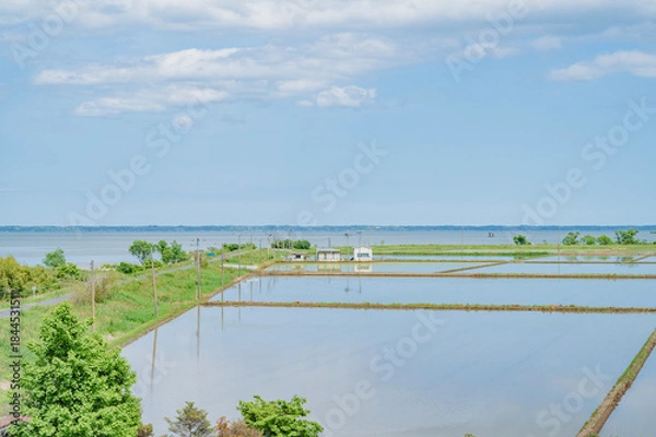 Obraz 茨城　霞ヶ浦と田園風景（美浦村）