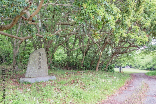 Obraz 茨城　陸平貝塚