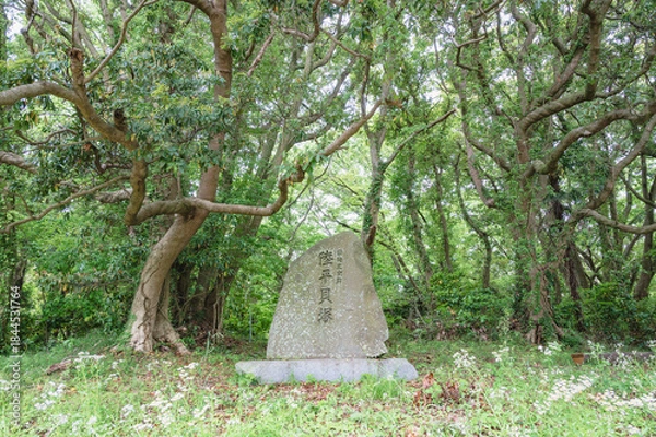 Obraz 茨城　陸平貝塚