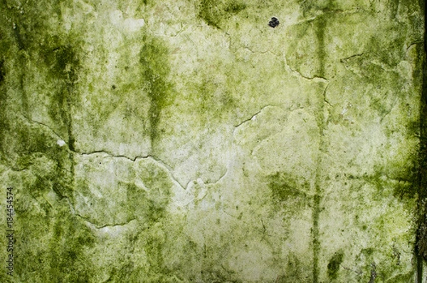 Obraz Old surface background green mold texture