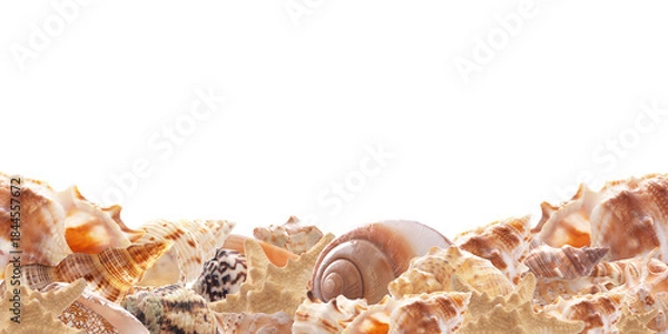 Obraz Frame sea shells isolated
