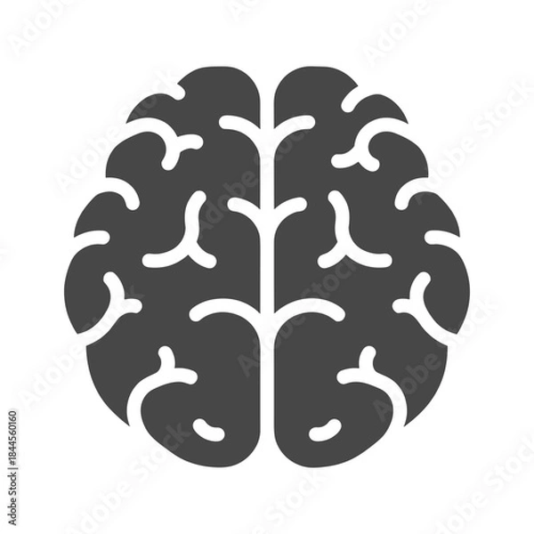 Obraz Human brain illustration