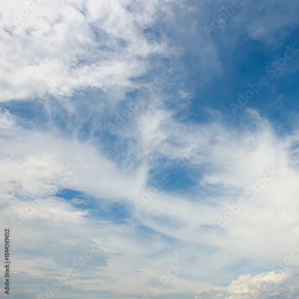 Obraz Scenic cloudscape featuring dense white clouds at horizon and wispy patterns above in natural daylight setting