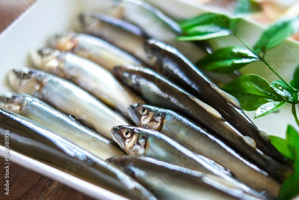 Fototapeta 稚アユ