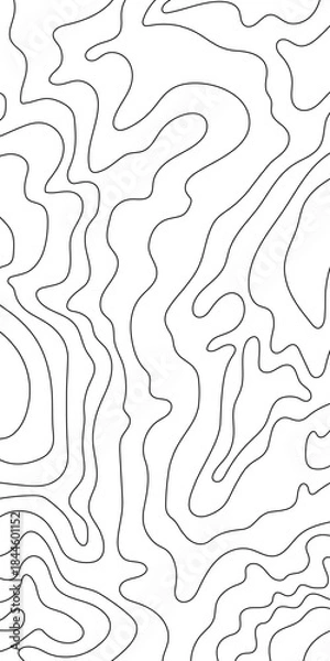 Obraz Topo black lines, vertical vector map
