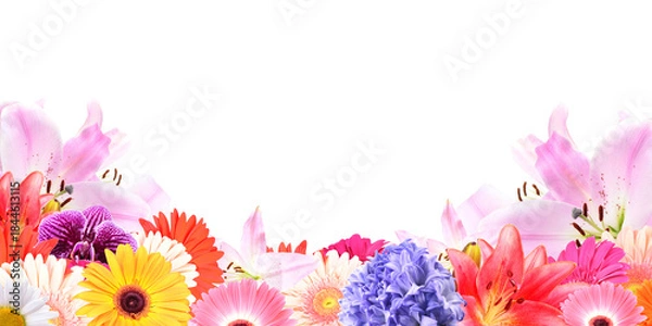 Obraz Frame flower isolated