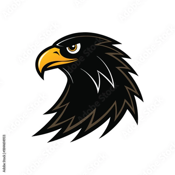 Fototapeta eagle head vector illustration