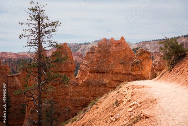Obraz Bryce Canyon Utah