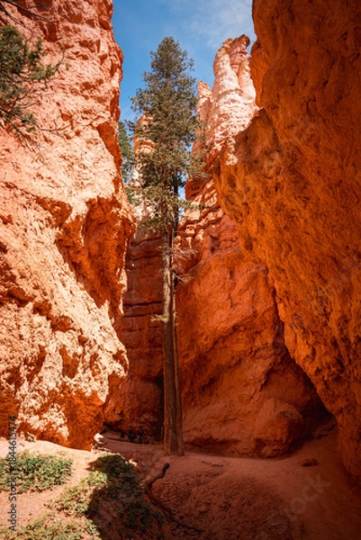Obraz Bryce Canyon Utah