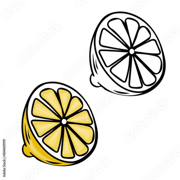Obraz Hand-drawn Mediterranean lemon slice with bright citrus detail and matching line-art version. Fresh natural element perfect for cuisine design, recipe layout, food branding, healthy lifestyle visuals