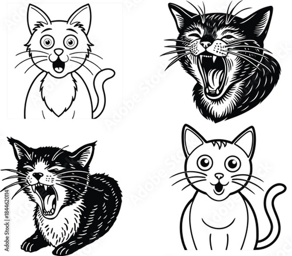 Fototapeta cat emotions 