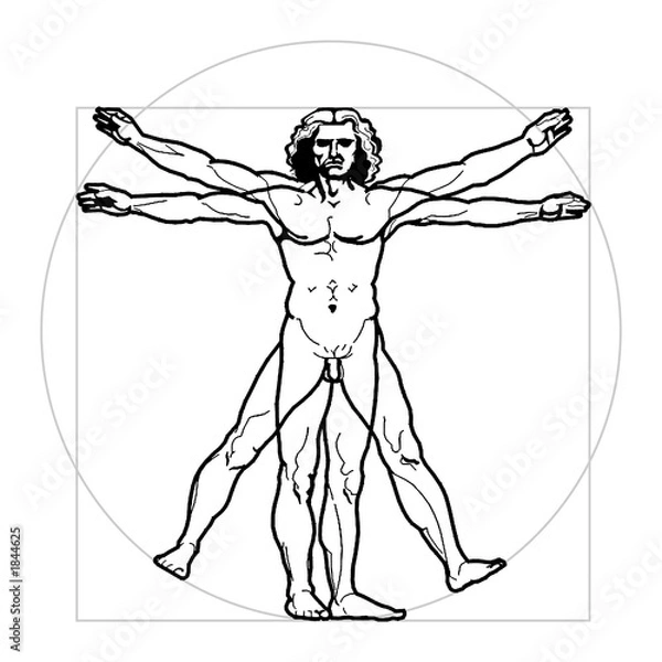 Obraz vitruvian man
