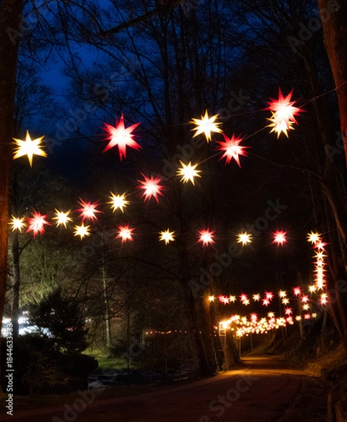 Obraz christmas tree with lights