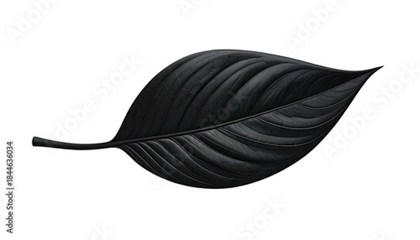 Fototapeta A single, stylized, dark gray leaf against a solid black background