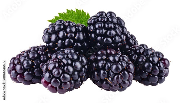 Fototapeta Close-up of ripe, glistening blackberries piled, with a single green leaf
