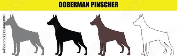 Obraz Various Doberman Pinscher dog breed silhouettes in different styles for design