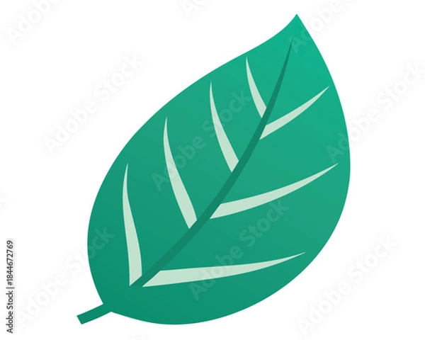 Obraz Single Green Leaf Illustration Nature Background Decorative Element