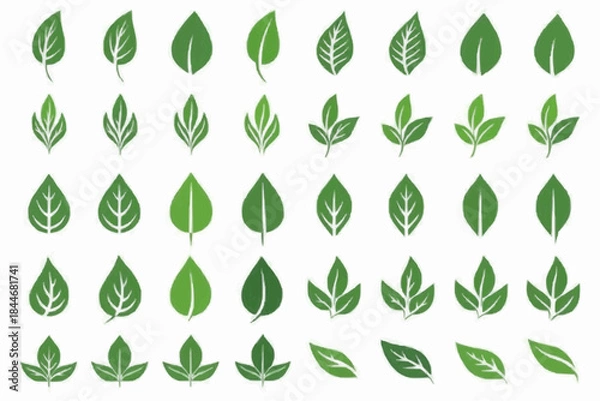 Obraz Green leaf icon set