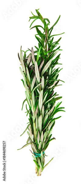 Obraz Rosemary isolated on white background.