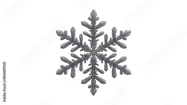 Obraz snowflake illustration