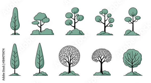 Fototapeta A diverse collection of stylized tree icons and silhouettes for landscape design including both lush and bare winter tree illustrations.