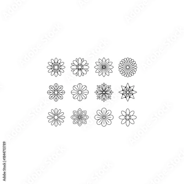 Obraz 12 flower and leaf mandala designs, solid black vector fill