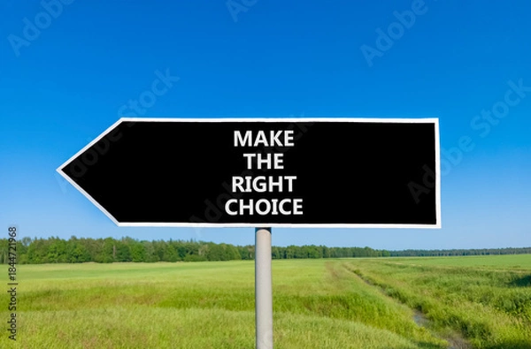 Fototapeta Make the right choice symbol. Concept words phrase Make the right choice on beautiful road sign. Beautiful blue sky green grass lawn background. Business Make the right choice concept. Copy space.