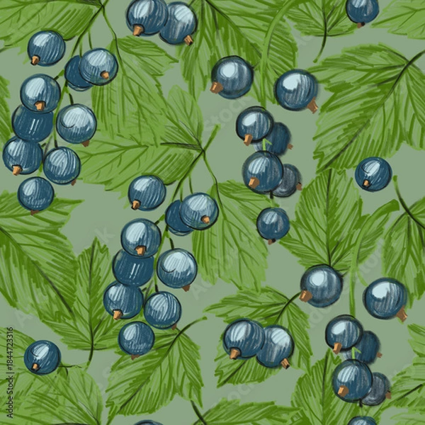 Obraz Blackcurrant, berry, seamless pattern, set of hand-drawn illustrations, pencil drawing