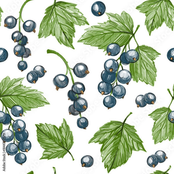 Obraz Blackcurrant, berry, seamless pattern, set of hand-drawn illustrations, pencil drawing