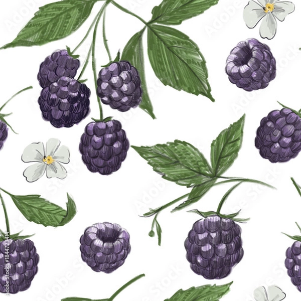 Obraz Blackberry seamless pattern,  hand-drawn illustrations, pencil drawing
