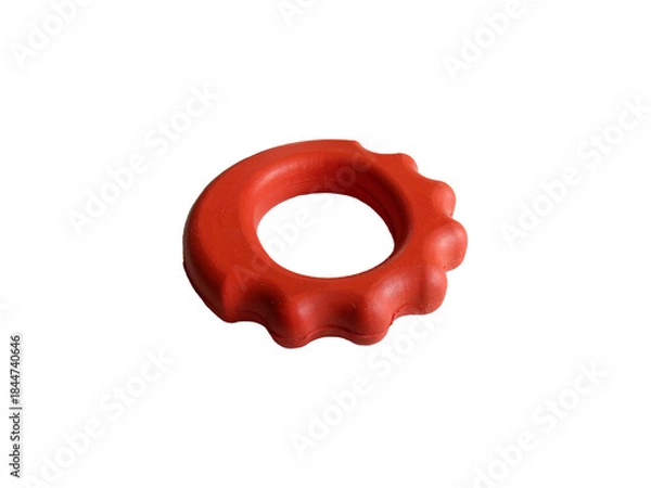 Obraz Sport expander on transparent background 