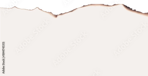 Obraz Burnt paper edges realistic vector illustration