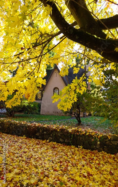 Obraz  small historic Tudor Revival–style building