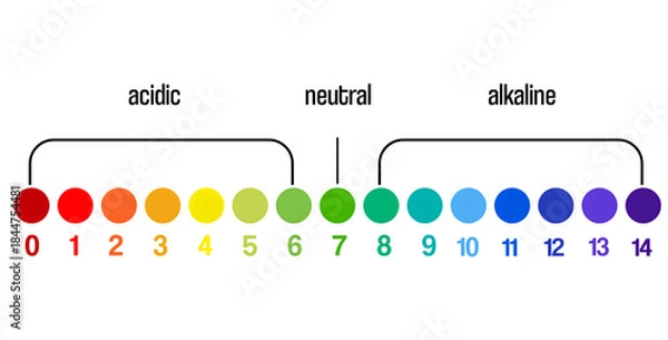 Fototapeta Ph level of acid and alkaline balance. pH Value Measurement Chart. Universal Test Strips and Indicators, vector illustration
