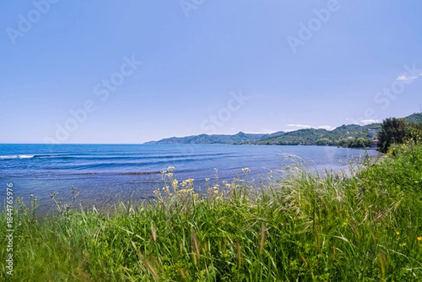 Fototapeta A stunning Black Sea landscape in Turkey features clear blue water and dense coastal forest hills viewed through a wide-angle grass foreground. Perfect for travel brochures.