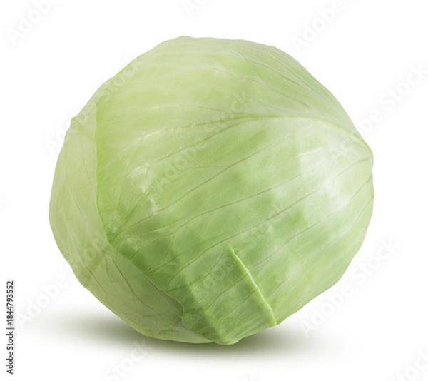 Obraz Cabbage isolated on white background