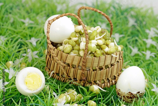 Obraz Protein, vegetable and animal origin