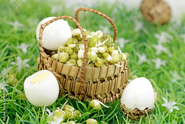 Obraz Protein, vegetable and animal origin