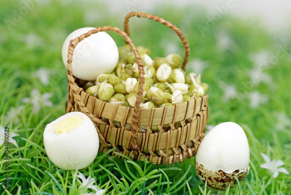 Obraz Protein, vegetable and animal origin