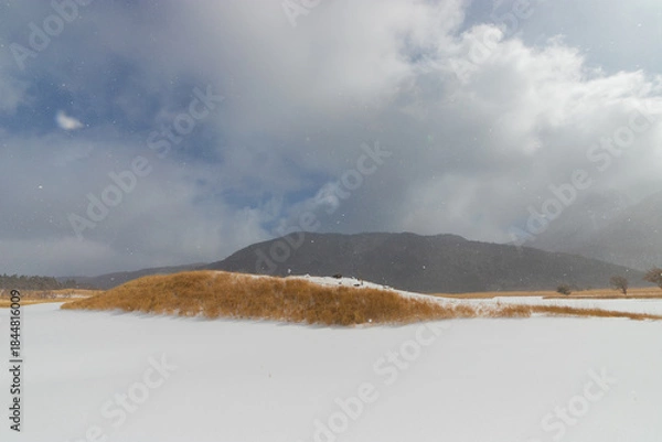Obraz 九重町の雪景色（大分県九重町）
