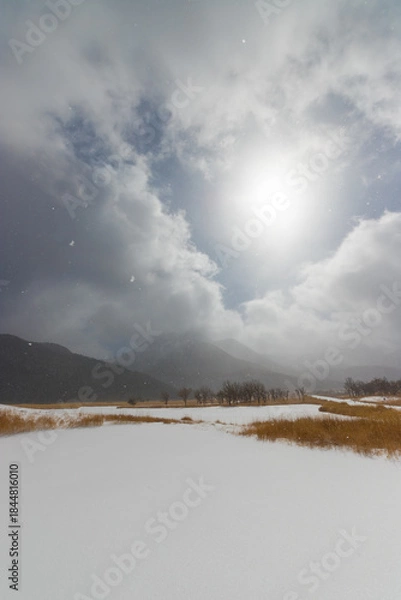 Obraz 九重町の雪景色（大分県九重町）