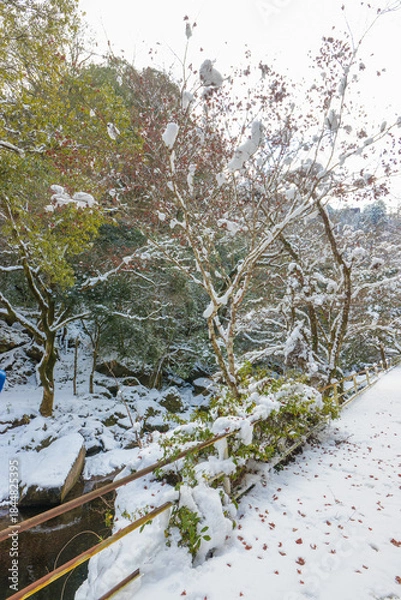 Obraz 耶馬渓の雪景色（大分県中津市耶馬渓）