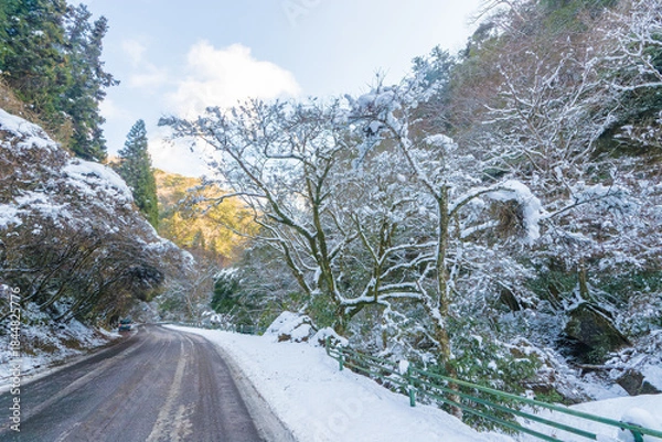 Obraz 耶馬渓の雪景色（大分県中津市耶馬渓）