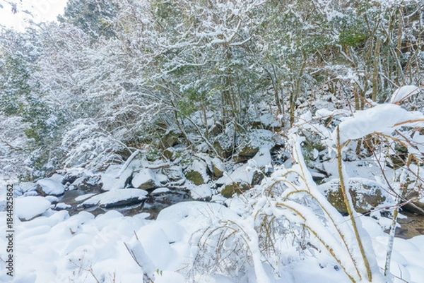 Obraz 耶馬渓の雪景色（大分県中津市耶馬渓）