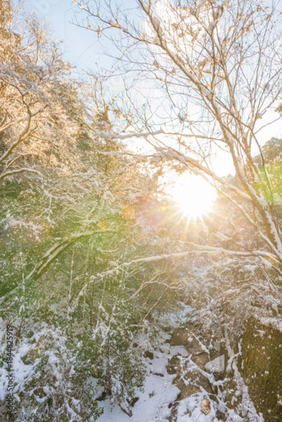 Obraz 耶馬渓の雪景色（大分県中津市耶馬渓）