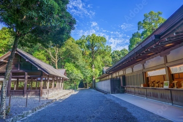Fototapeta 静寂に包まれた神聖な神社の情景