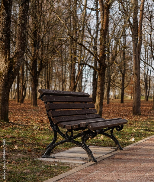 Obraz bench in the park