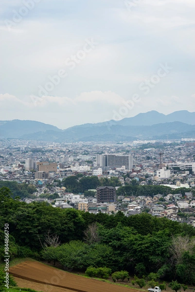Obraz 弘法山から見た神奈川県秦野市の街並み